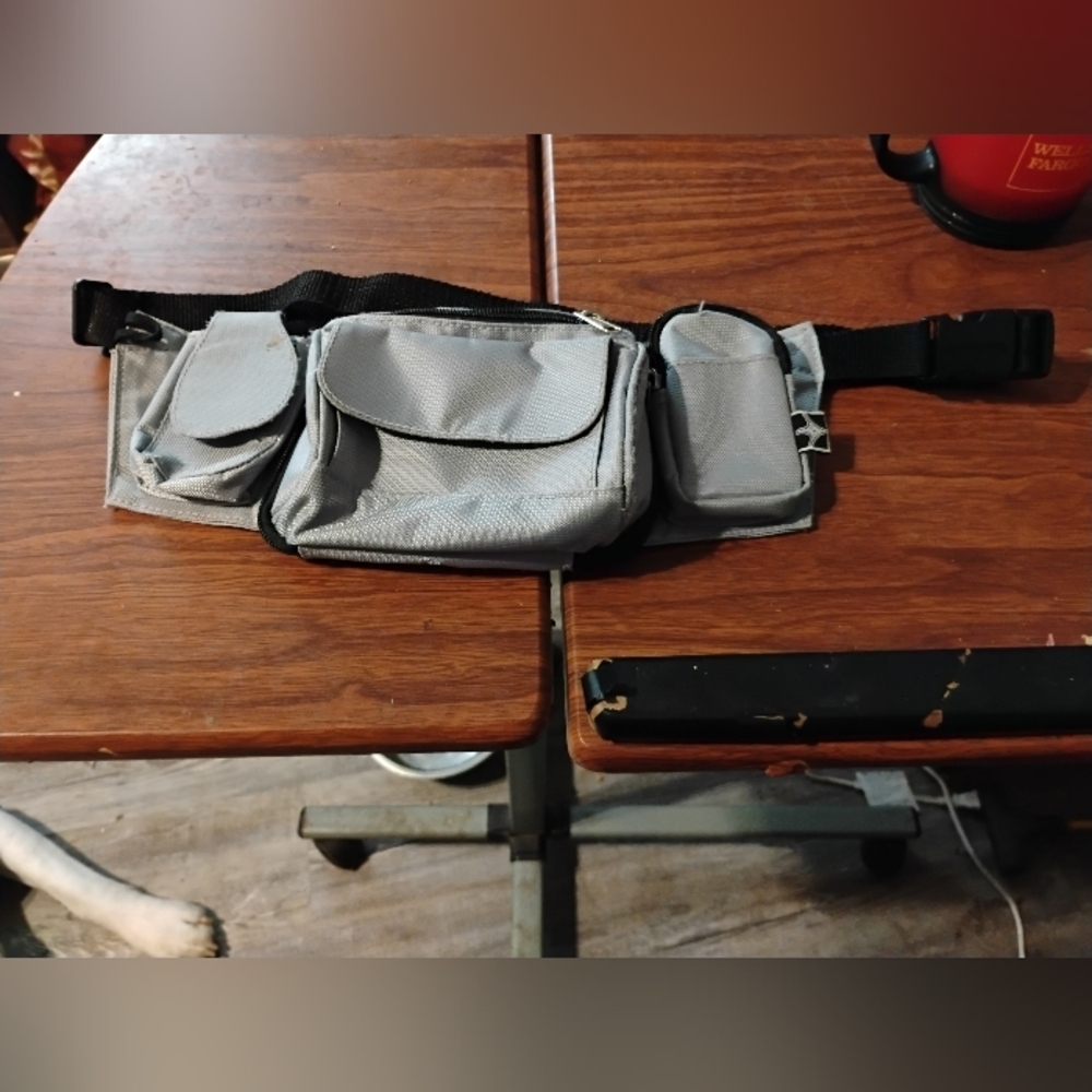 Gray Fanny Bag: Nylon